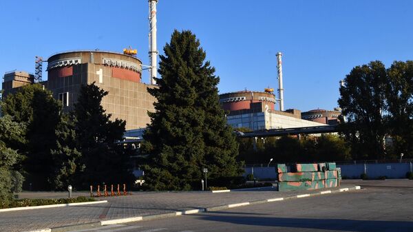 Вид на здания энергоблоков Запорожской атомной электростанции (ЗАЭС) в Энергодаре. Архивное фото - Sputnik Кыргызстан