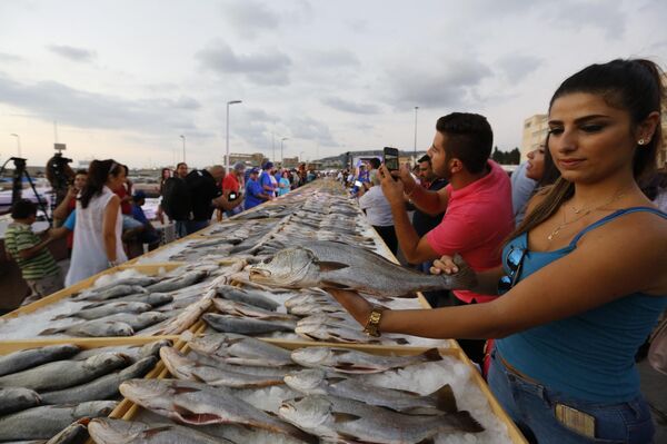 Представители ливанской Ассоциации торговцев тоже установили мировой рекорд. Они провели в Батруне самую большую ярмарку морепродуктов, где было выставлено 2 613 килограммов рыбы. - Sputnik Кыргызстан