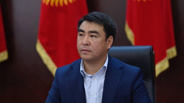 Альянс фракциясынын депутаты Жанар Акаев - Sputnik Кыргызстан