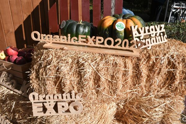 В Бишкеке открылись агропромышленная выставка &quot;Агротехэкспо-2022&quot;, ярмарка &quot;Золотая осень&quot; и выставка Organic EXPO 2022 - Sputnik Кыргызстан