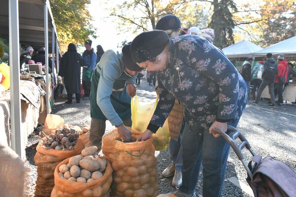 ...средства для капельного орошения, дождевальная техника, новые сорта семян - Sputnik Кыргызстан