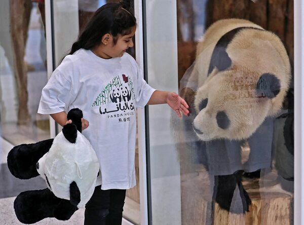 Ребенок играет с пандой за защитным стеклом в парке панд в Эль-Хаур (Катар).Катар стал первой ближневосточной страной, которая приняла китайских панд. Правительство КНР отправило животных в качестве подарка к Чемпионату мира по футболу, который начнется 20 ноября. - Sputnik Кыргызстан