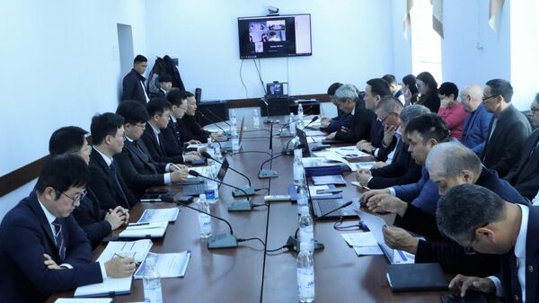 Экономика министринин орун басары Канат Абдрахманов жана Хан-А консорциумунун өкүлдөрү менен жолугуушу - Sputnik Кыргызстан