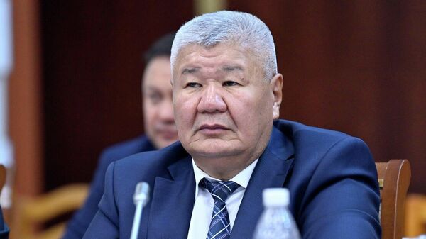 Энергетика министри Таалайбек Ибраев - Sputnik Кыргызстан