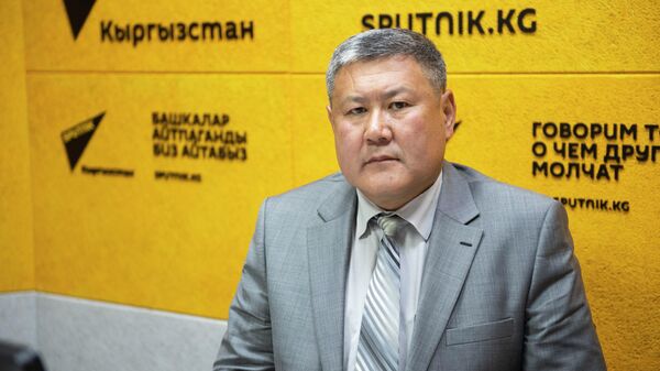 Бишкек мэриясынын Шаар чарба департаментинин директорунун орун басары Мирлан Энназаров  - Sputnik Кыргызстан