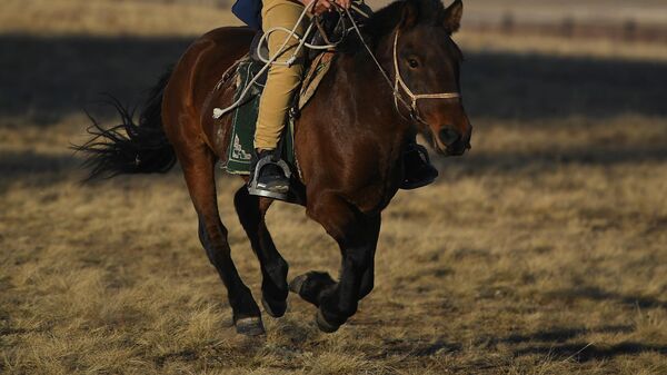 Мальчик верхом на лошади. Архивное фото - Sputnik Кыргызстан