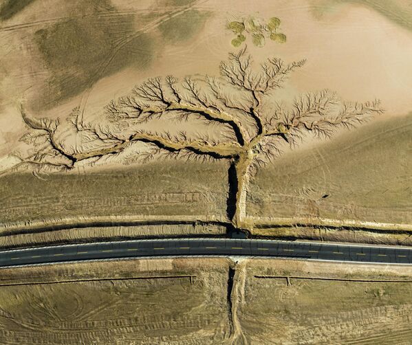 Гран-при конкурса получил снимок китайского фотографа Ли Пин с изображением &quot;дерева&quot;. На самом деле это овраги по обеим сторонам шоссе, образовавшиеся в результате эрозии почвы от дождей. Фото сделано в Тибете. - Sputnik Кыргызстан
