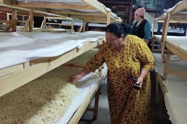 Республика боюнча 2800 үй-бүлө жеке бизнесин баштоо үчүн 100 миң сом өлчөмүндө грант алды. - Sputnik Кыргызстан