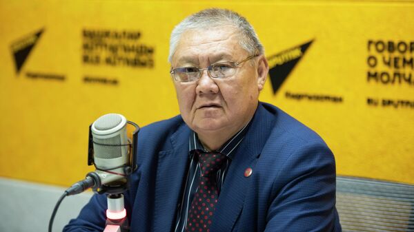 Коопсуздук жаатында эксперт, саясий илимдердин доктору Токон Мамытов - Sputnik Кыргызстан