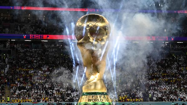 Кубок чемпионата мира по футболу. Архивное фото - Sputnik Кыргызстан