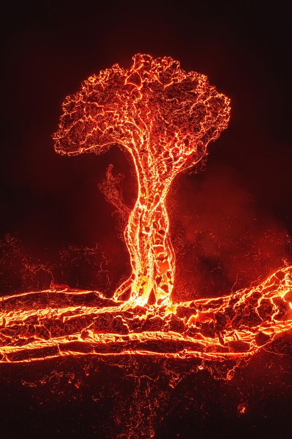 Фото &quot;Дерево лавы&quot; участника из Коста-Рики Luis Solano - Sputnik Кыргызстан