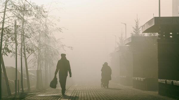 Люди идут по улице окутанной смогом. Архивное фото - Sputnik Кыргызстан