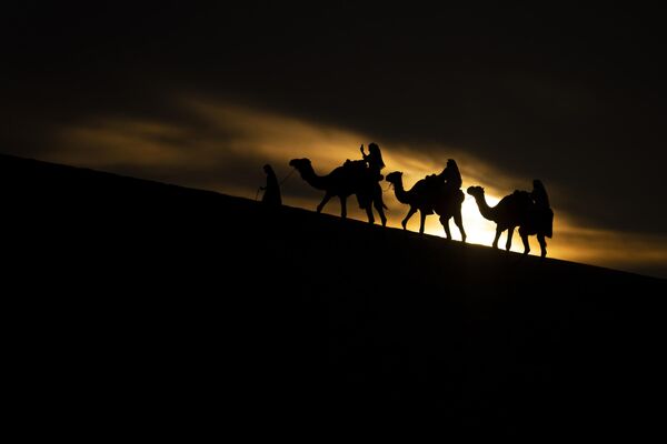 Туристы катаются на верблюдах в городе Месаиде (Катар) во время Чемпионата мира по футболу - Sputnik Кыргызстан