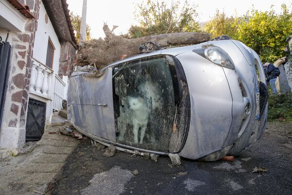 Собака, которая застряла в машине своих владельцев примерно на 72 часа, выглядывает через лобовое стекло, пока спасатели ищут возможных выживших в Казамиччоле (Италия) после схода оползня  - Sputnik Кыргызстан