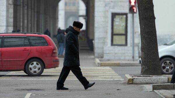 Мужчина идет по улице Панфилова в Бишкеке. Архивное фото - Sputnik Кыргызстан