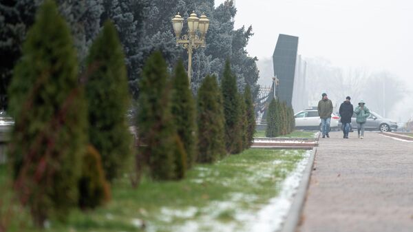 Прохожие идут по проспекту Чуй в Бишкеке. Архивное фото - Sputnik Кыргызстан