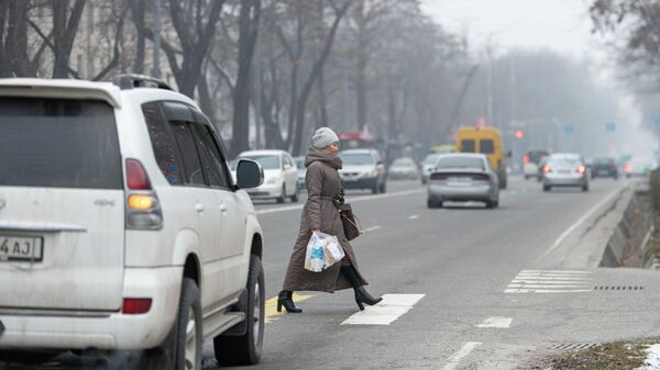 Бишкектин Чүй проспектисин жолду өтүп бара жаткан аял - Sputnik Кыргызстан