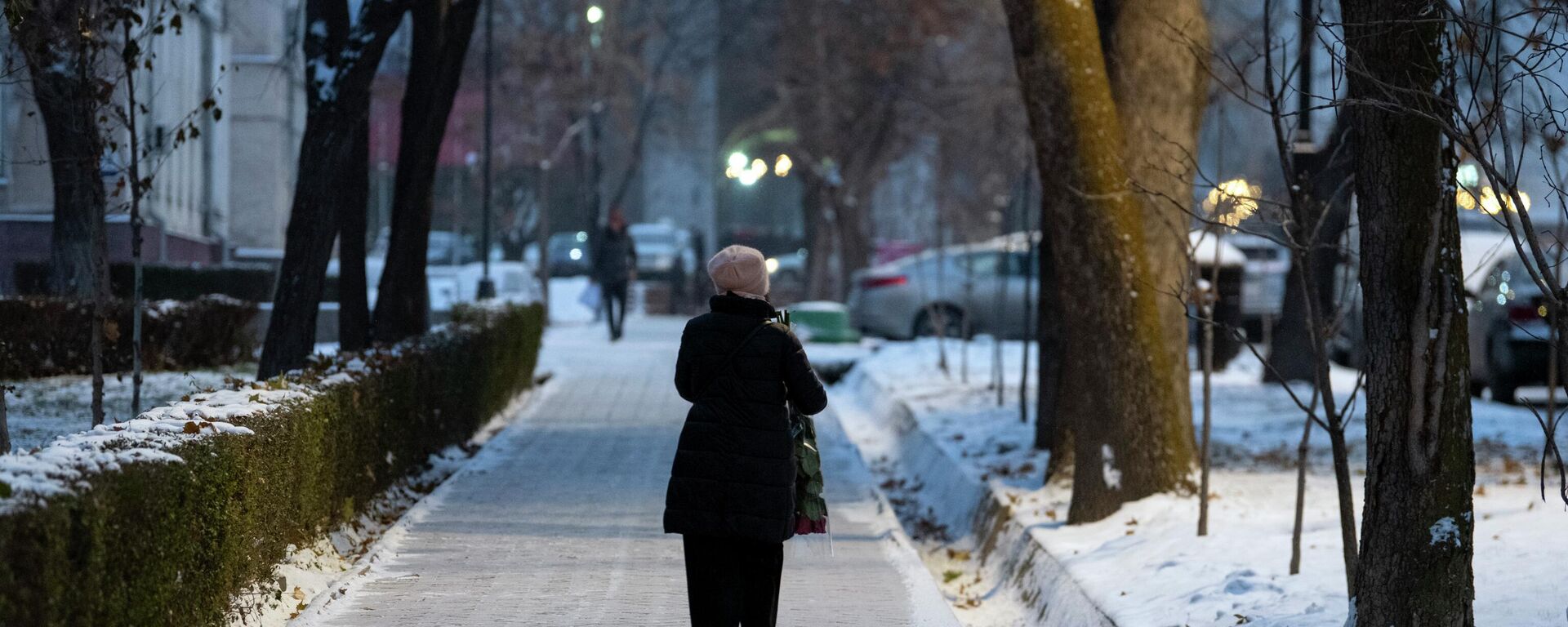 Женщина идет пой одной из улиц Бишкека после снегопада. Архивное фото - Sputnik Кыргызстан, 1920, 01.12.2024