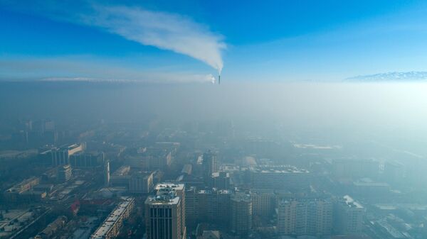 Вид с дрона на центр Бишкека, окутанный смогом. Архивное фото - Sputnik Кыргызстан