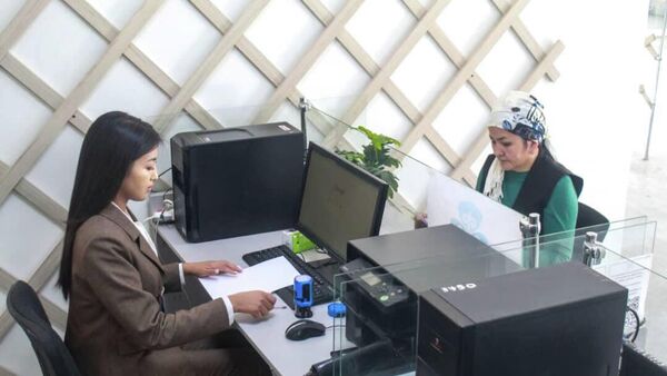 Иллюстративдик сүрөт - Sputnik Кыргызстан