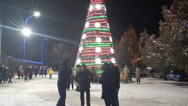 Новогодняя елка в городе Кара-Куль - Sputnik Кыргызстан