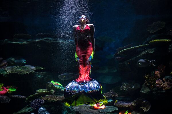 Дайвер в костюме русалки в аквариуме Sea Life Bangkok Ocean World в Таиланде - Sputnik Кыргызстан