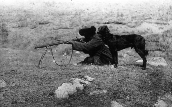 Кыргыз тайганы менен ууга чыккан киши. 1908-жыл - Sputnik Кыргызстан