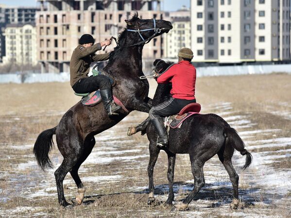 7 января в селе Орто-Сай на юге Бишкека прошли состязания по кок-бору, в которых участвовали 44 команды всадников из Чуйской области. Игры проводятся ежегодно для укрепления дружбы и согласия молодежи региона. - Sputnik Кыргызстан