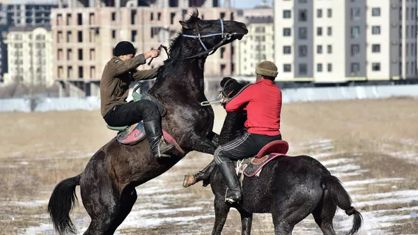 Соревнования по Кок бору в Чуйской области. Архивное фото - Sputnik Кыргызстан