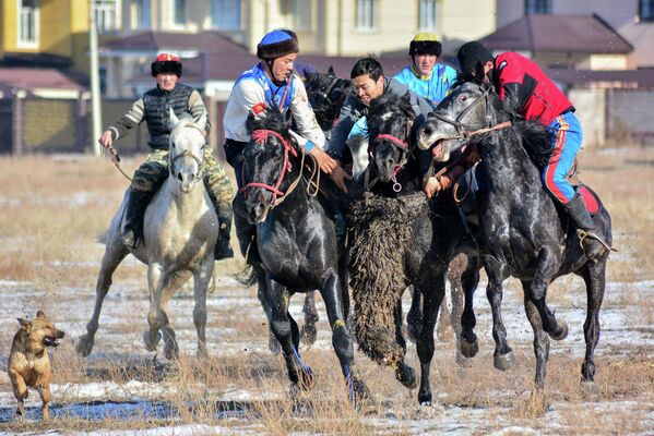 В 2017 году игра кок-бору вошла в Список нематериального культурного наследия ЮНЕСКО от Кыргызстана - Sputnik Кыргызстан