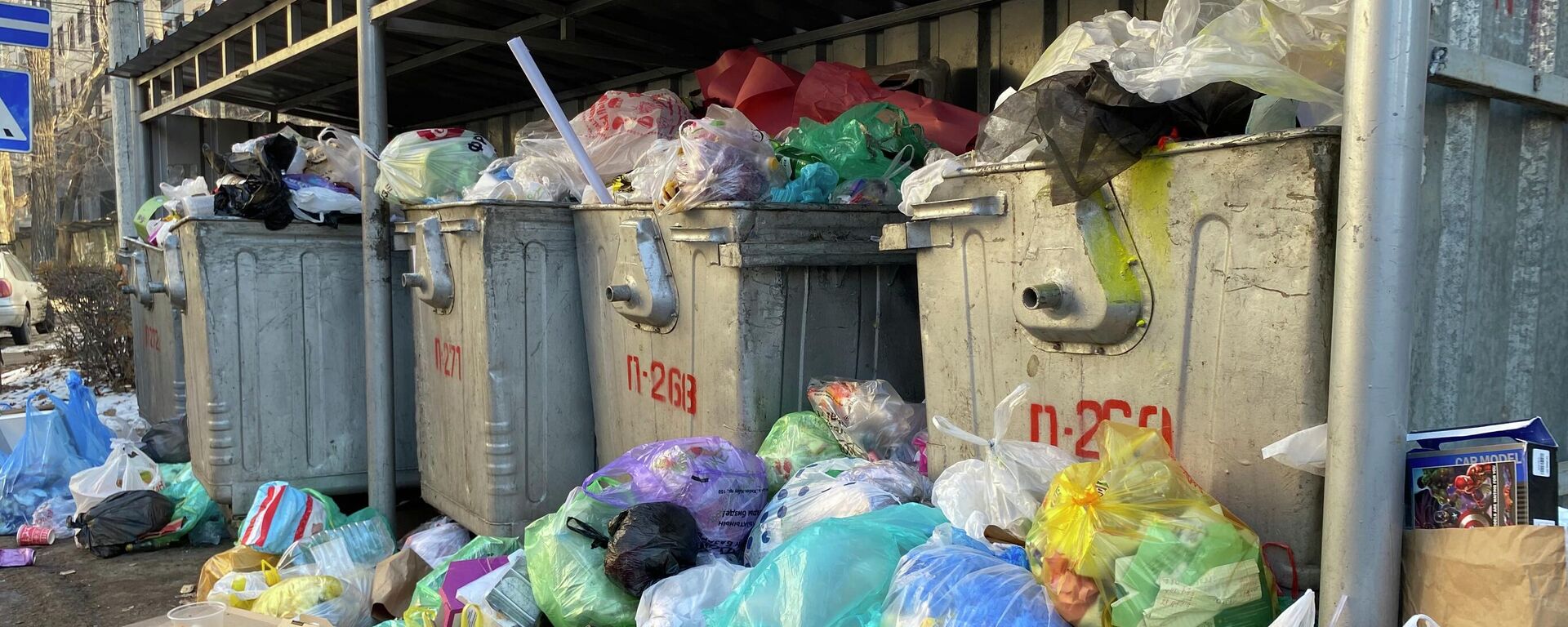 Переполненные мусором контейнеры на улице Раззакова в Бишкеке - Sputnik Кыргызстан, 1920, 09.01.2023