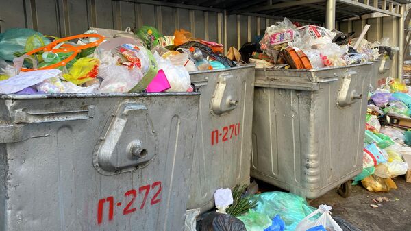 Переполненные мусором контейнеры в Бишкеке. Архивное фото - Sputnik Кыргызстан