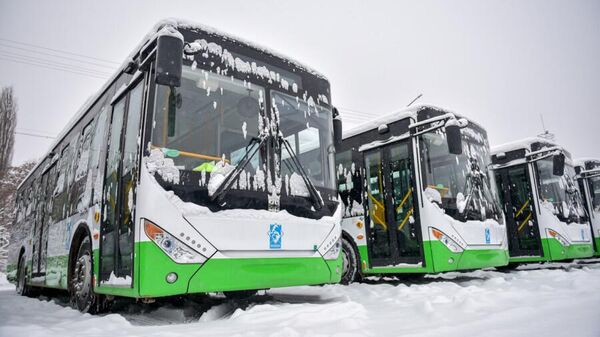 Прибытие первой партии из 20 новых автобусов в Бишкек - Sputnik Кыргызстан