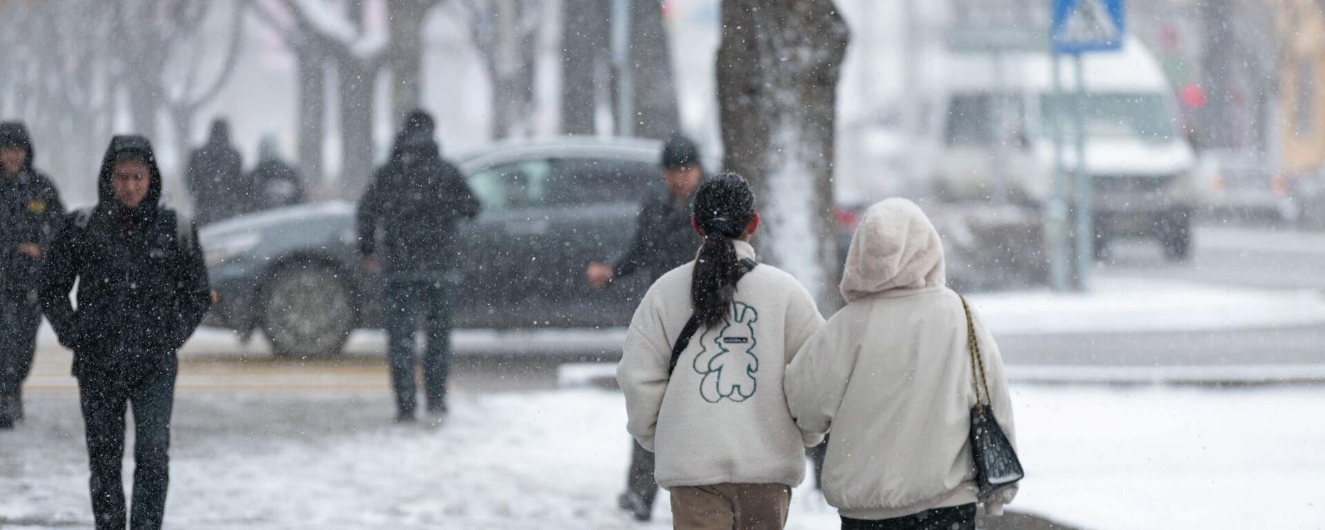 Снегопад в Бишкеке - Sputnik Кыргызстан, 1920, 15.12.2025