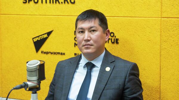 Первый заместитель министра сельского хозяйства КР Нурдин Алишеров - Sputnik Кыргызстан