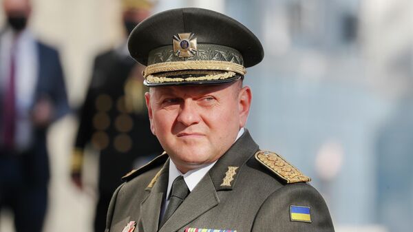 Главнокомандующий ВС Украины Валерий Залужный. Архивное фото - Sputnik Кыргызстан