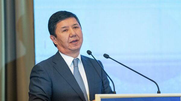 Соода-өнөр жай палатасынын жетекчиси Темир Сариев. Архив - Sputnik Кыргызстан