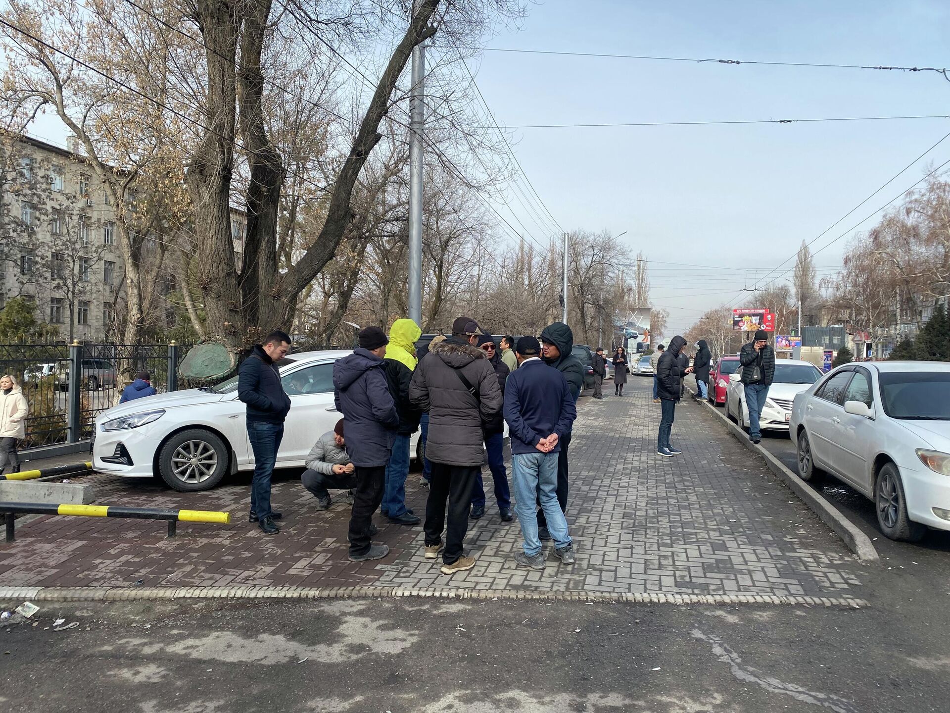 Митинг предпринимателей, которые завозят машины из других стран - Sputnik Кыргызстан, 1920, 06.02.2023