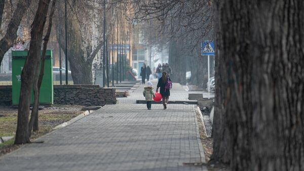 Женщина с ребенком идут по дороге в Бишкеке. Архивное фото - Sputnik Кыргызстан