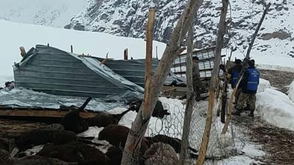 Обрушение крыши загона в Джалал-Абадской области - Sputnik Кыргызстан