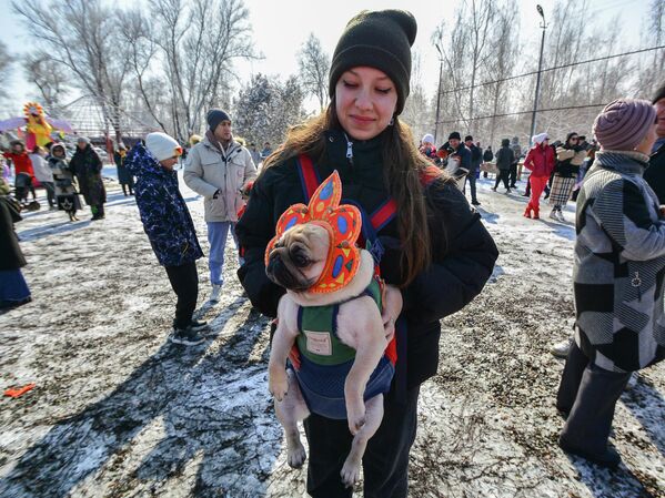 Даже собаку нарядили в веселый костюм - Sputnik Кыргызстан