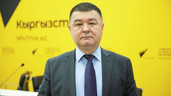 Главный директор кредитного центра Ишеним Марлис Дуйшегулов - Sputnik Кыргызстан