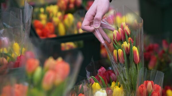 Продажа цветов к 8 марта - Sputnik Кыргызстан