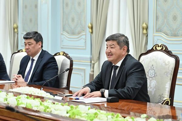 Участники встречи рассмотрели вопросы реализации договоренностей, достигнутых в ходе государственного визита Шавката Мирзиёева в Бишкек в январе этого года - Sputnik Кыргызстан