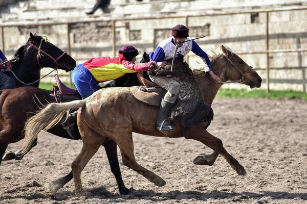 Соревнования по кок-бору во время фестиваля &quot;Салбуурун&quot; на ипподроме в Бишкеке - Sputnik Кыргызстан