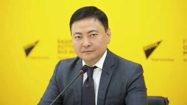 Председатель Кыргызского союза промышленников Данил Ибраев  - Sputnik Кыргызстан