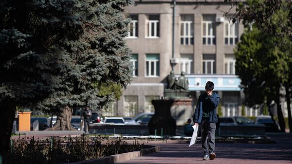 Өспүрүм Бишкектеги Чыңгыз Айтматов атындагы паркта бара жатат - Sputnik Кыргызстан