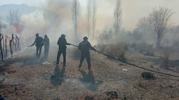 Сотрудники МЧС во время тушения пожара в Боомском ущелье. Архивное фото - Sputnik Кыргызстан