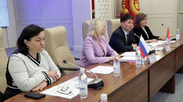Экспертное заседание межправительственной кыргызско-российской комиссии - Sputnik Кыргызстан