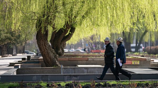 Мужчины в калпаке идут возле плакучей ивы в Бишкеке.  - Sputnik Кыргызстан